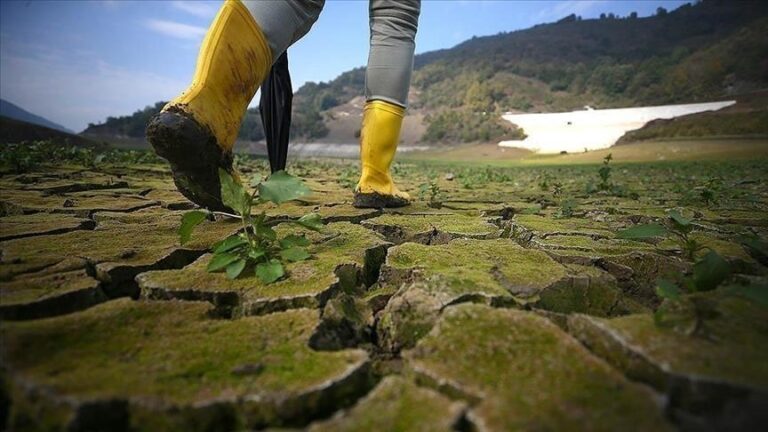 Bearing the Brunt: Climate Change’s Unyielding Impact on Vulnerable Communities